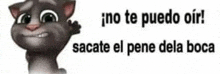 a cartoon cat with the words no te puedo oir sacate el pene dela boca on it .