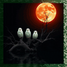 three white owls sitting on a tree branch with a full moon in the background