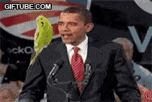 Shrug Barrack Obama GIF - Shrug Barrack Obama GIFs