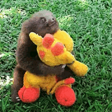 Sloth Love GIF - Sloths Babies Hugs GIFs
