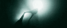 a silhouette of a person in the water with the sun shining through