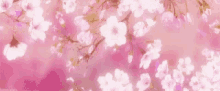 Flowers Cherry Blossoms GIF