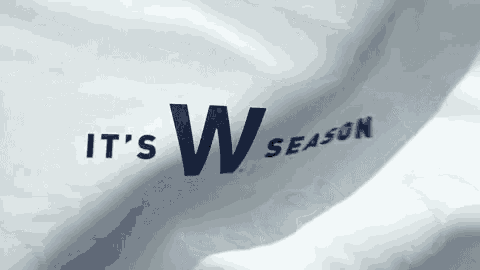 Brewers Cubs GIF - Brewers Cubs Fly The L - Discover & Share GIFs