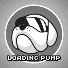 hoge loading pump