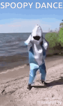 Spoopysharkdance GIF - Spoopysharkdance Spoopy Shark GIFs