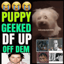 a poster that says puppy geeked df up