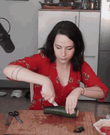 Shakaam Courgette GIF