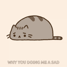 sad cat
