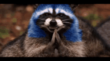 Raccoon Blue GIF - Raccoon Blue Yes GIFs