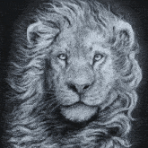a black and white drawing of a lion 's head