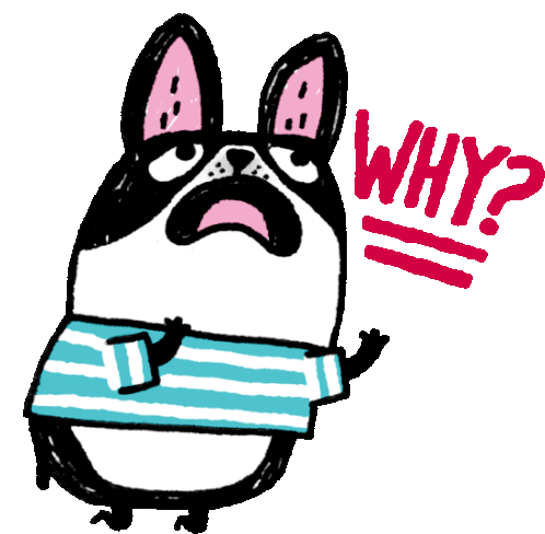 Dog Saying Why Sticker - Pudding Funny Animals The Cry Baby Stickers