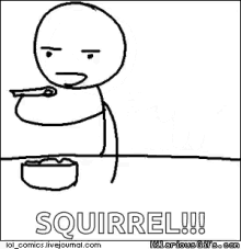 Squirrel Cereal GIF - Squirrel Cereal Cats GIFs