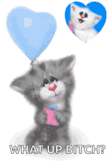 Thinking Of You Today Cute GIF - Thinking Of You Today Cute Kitty GIFs