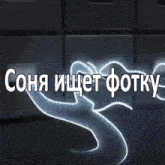 the word sona that is on a black item