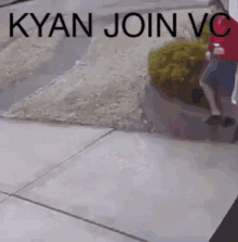 Kyan Kyan Vc GIF - Kyan Kyan Vc Kyan Join Vc GIFs