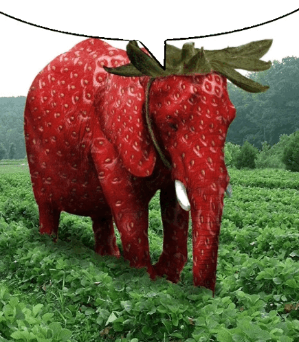 Strawberry Strawberry Elephant Sticker - Strawberry Strawberry elephant ...