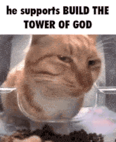 Build The Tower Of Gos Build The Tower Of God GIF - Build The Tower Of Gos Build The Tower Of God Cat Bruh GIFs