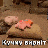 two stuffed pigs are laying on a pillow with a caption that says kucmy virnit
