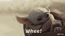GIF