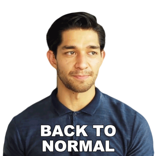 Back To Normal Wil Dasovich Sticker - Back To Normal Wil Dasovich Return To Normalcy Stickers