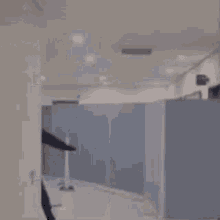 a person is sitting on a bed in a room with a cat .