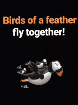 Birds Of A Feather Fly Together GIF - Birds Of A Feather Birds Of A Feather  Fly Together - Discover & Share GIFs