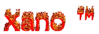 a logo for xano tm that looks like it is on fire