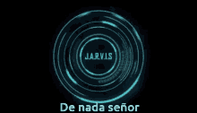 Jarbis Jarvis GIF - Jarbis Jarvis Momo GIFs