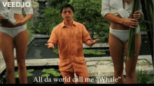Whale Directtv GIF - Whale Directtv They Call Me GIFs