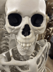a plastic skeleton with black eyes and a black nose