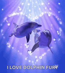 good heart love dolphin sweet