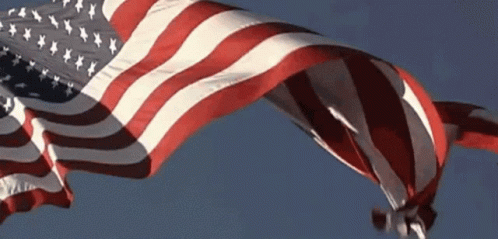 American Flag Usa Flag GIF – American Flag USA Flag Flag Waving – GIFs