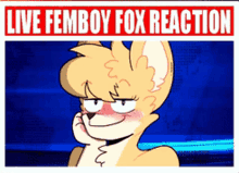 Femboy Fox GIF - Femboy Fox Femboy Fox GIFs