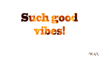 a white background with the words such good vibes