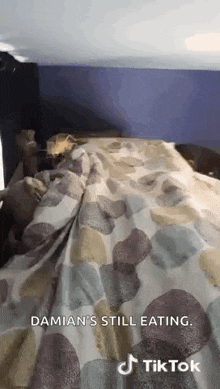 a person is laying on a bed with a blanket and a purple wall .