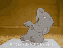 Brokemy Sneezer Elephant GIF - Brokemy Sneezer Elephant Sneeze GIFs