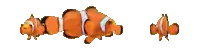 a group of clown fish are swimming in a row