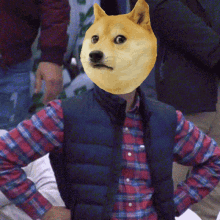 Dogecoin Dissapointed GIF