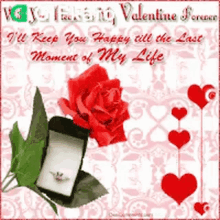 occasion propose day