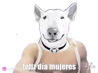 a cartoon of a bull terrier with the words feliz dia mujeres above it