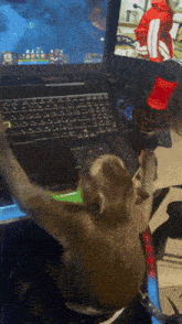 a monkey sits in front of a laptop playing a game