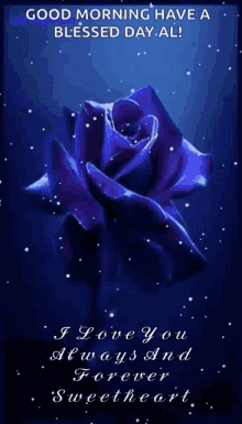 Blue Flower GIF - Blue Flower Rose GIFs