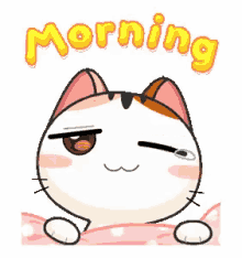 Gojill The Meow Morning GIF - Gojill The Meow Morning Kitty GIFs