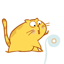 toilet cute fat kitty cat