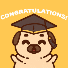a pug wearing a graduation cap with the words congratulations written above it