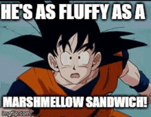 marshmellow sandwich marshmallow its so fluffy its so fluffy im gonna die