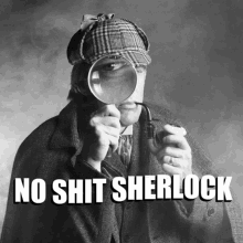 No Shit Sherlock GIF - No Shit Sherlock Genius GIFs