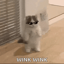 a cat wearing sunglasses is standing on its hind legs and says wink wink .