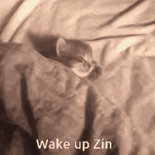 Wake Up Zin GIF - Wake Up Zin GIFs