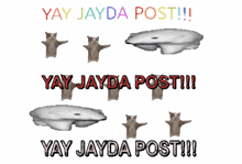 a poster that says yay jayda post !!!